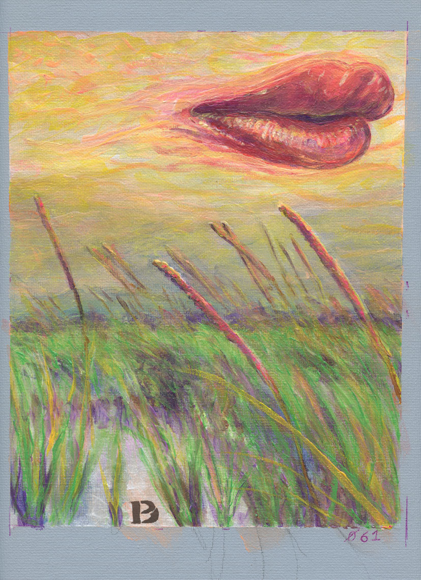 Lips of Bathala 061: Massachusetts Ipswich Costal Grass